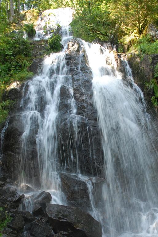 فندق Logis De La Grande Cascade لو ثولي المظهر الخارجي الصورة